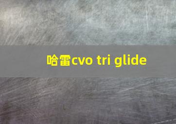 哈雷cvo tri glide